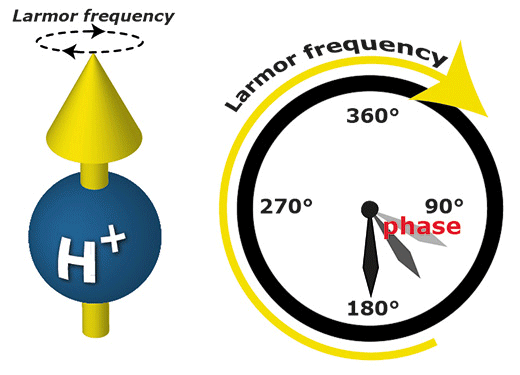 Spinning proton and Larmor frequency
