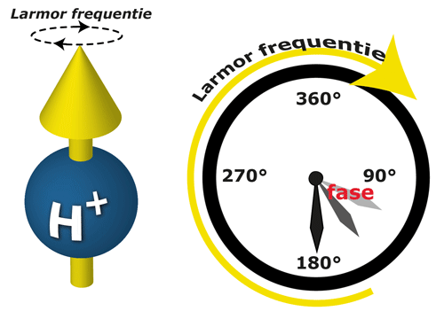 Larmor frequentie en fase