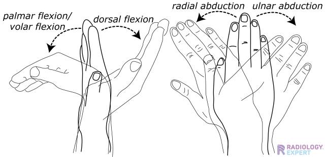 X-Wrist