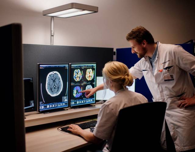 Radiology Mastery: Expertise in Medical Imaging